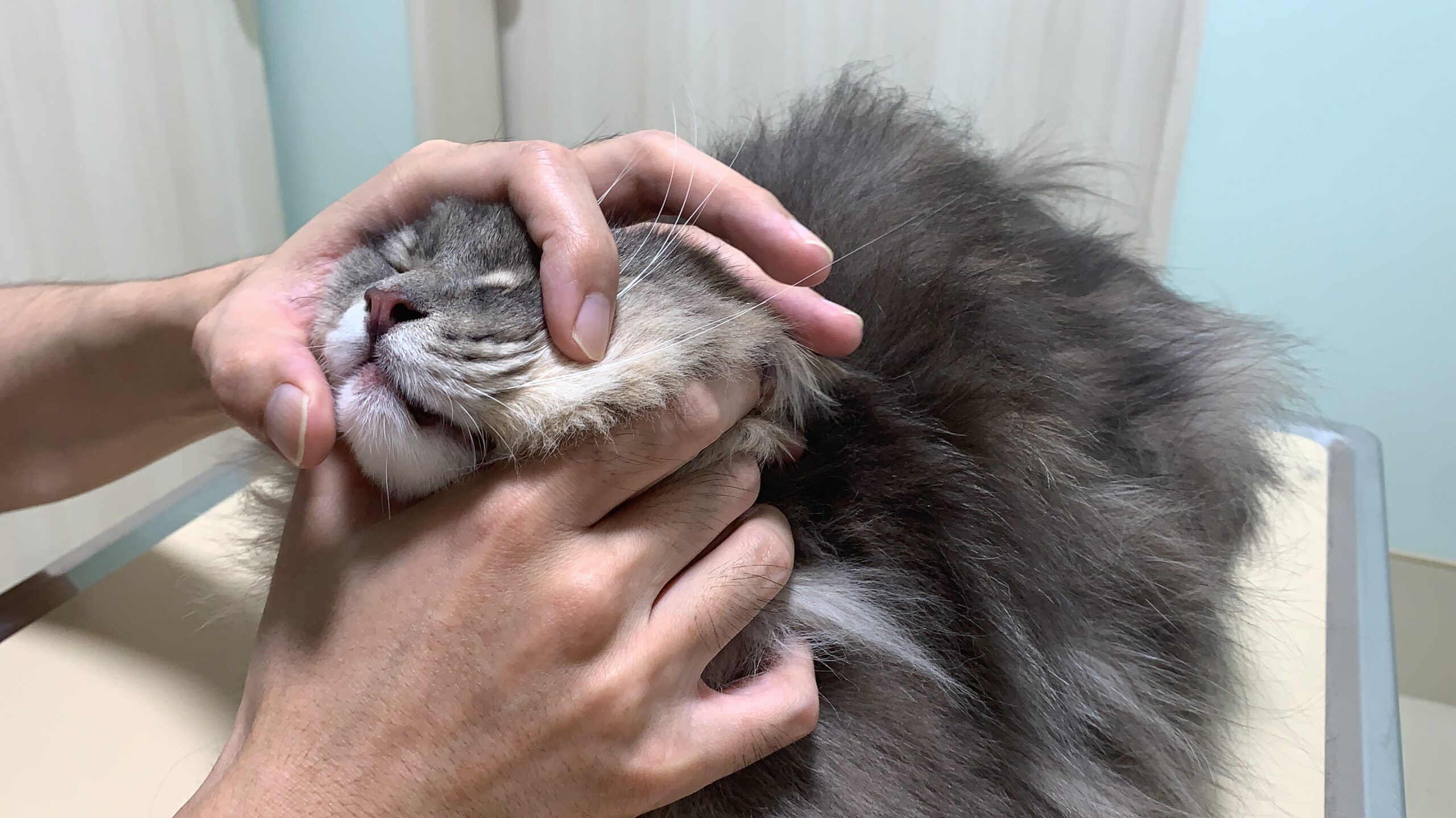 鼠径肉芽腫の今後の見通しは?